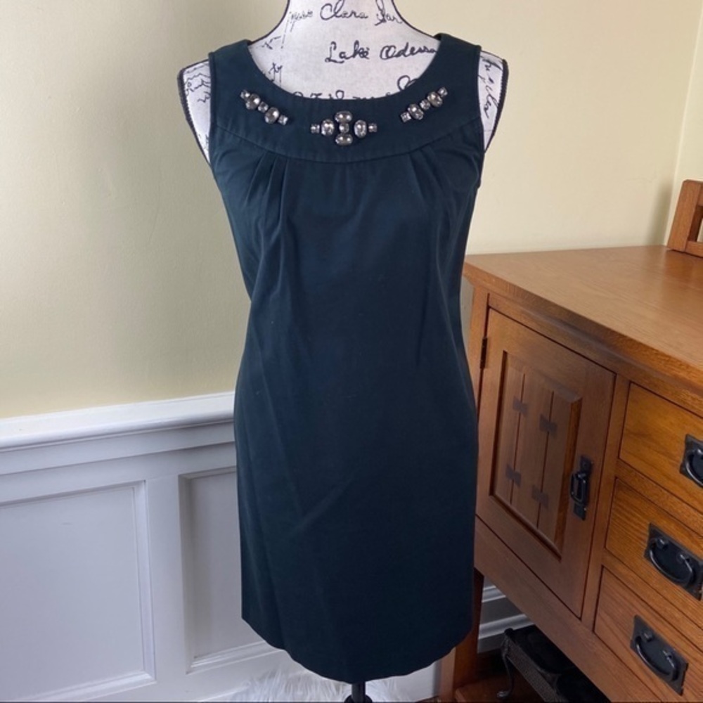 Ann Taylor Pleated Embellished Dress